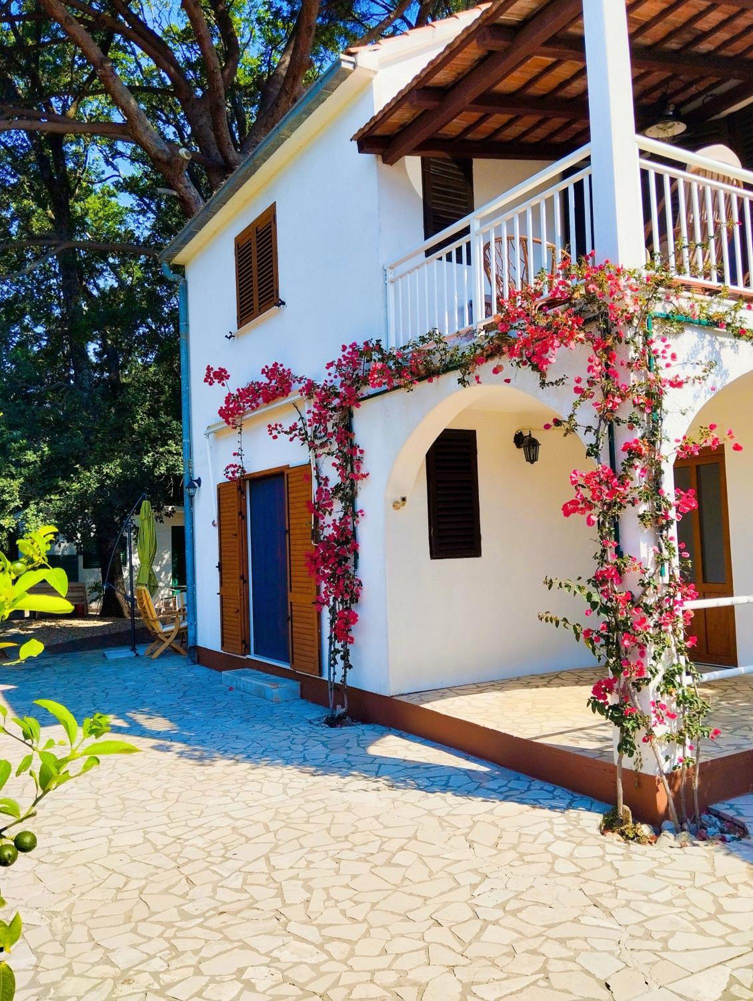 Holiday House Pinus Pinea ヴィガニ エクステリア 写真